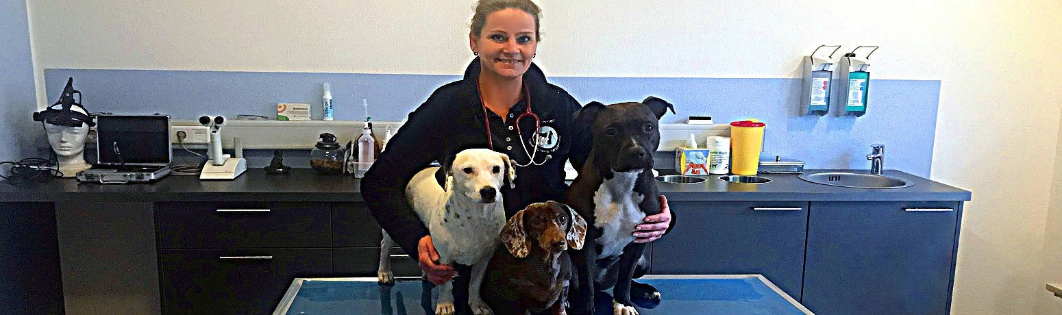 Fachtierarztpraxis Herzogstraße für Kleintiere in Düsseldorf-Friedrichstadt. Fachtierarztpraxis Herzogstraße für Kleintiere in Düsseldorf-Friedrichstadt.